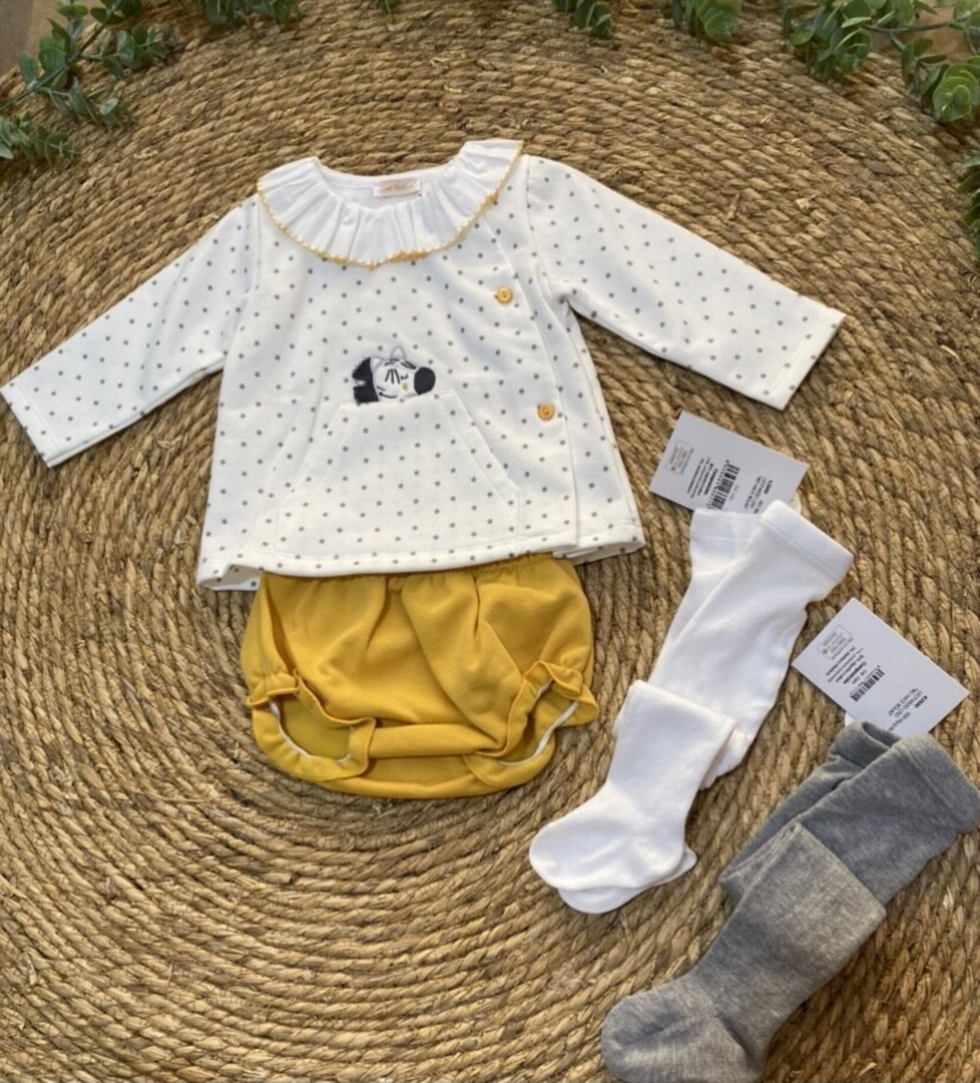 Conjunto Marty braguita - 2